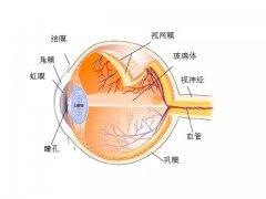 好消息！5月20日杨培增来厦交流并就疑难